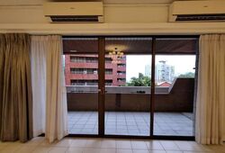 The Cairnhill (D9), Condominium #558345751